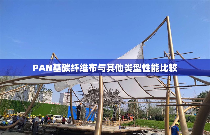 PAN基碳纖維布與其他類型性能比較 行業(yè)新聞 第1張 PAN基碳纖維布與其他類型性能比較 行業(yè)新聞 第1張