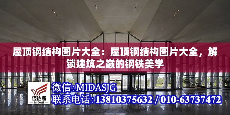 屋頂鋼結(jié)構(gòu)圖片大全：屋頂鋼結(jié)構(gòu)圖片大全，解鎖建筑之巔的鋼鐵美學(xué)