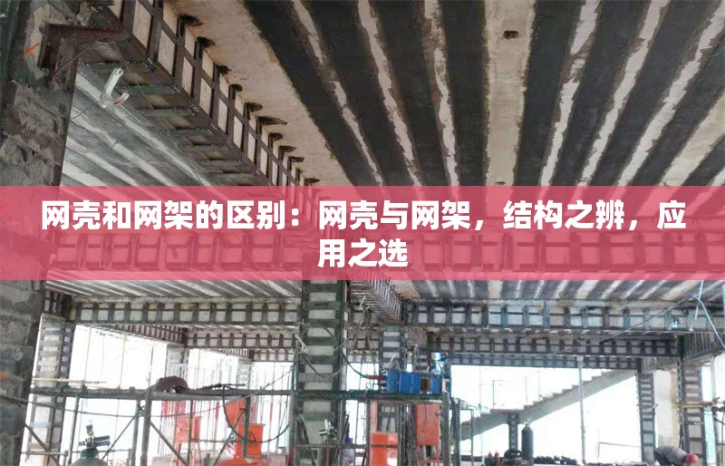 網(wǎng)殼和網(wǎng)架的區(qū)別：網(wǎng)殼與網(wǎng)架，結(jié)構(gòu)之辨，應(yīng)用之選 行業(yè)新聞