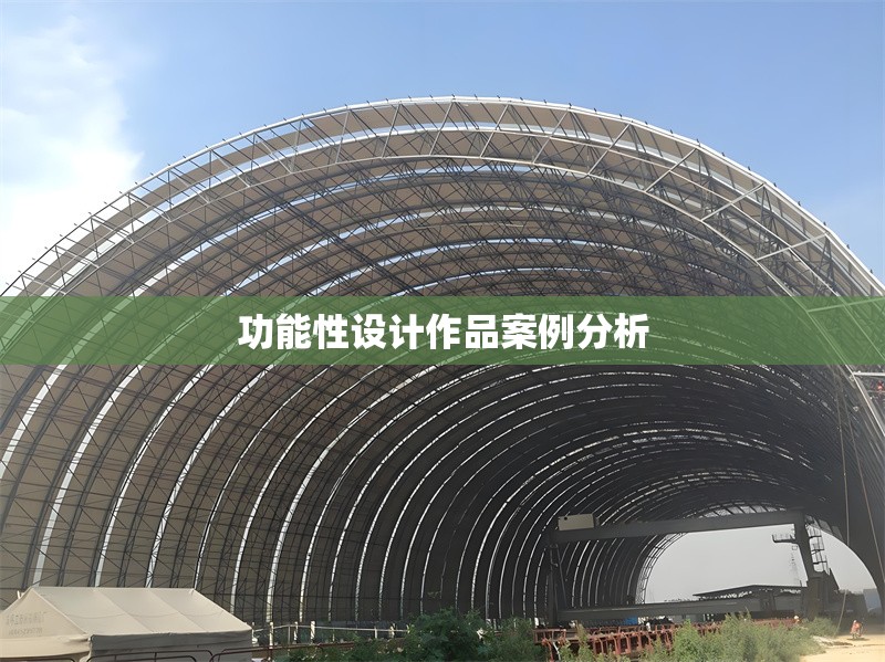 功能性設計作品案例分析 行業(yè)新聞 第1張