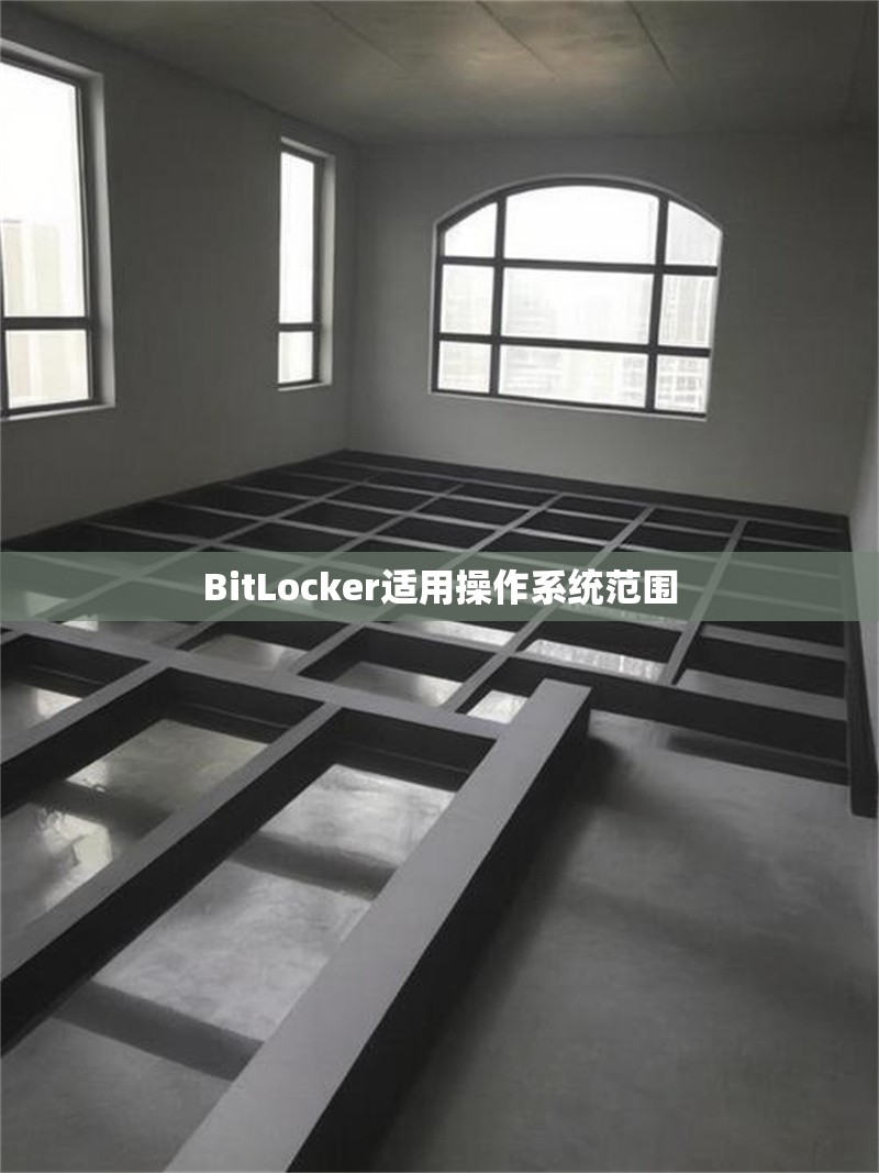 BitLocker適用操作系統(tǒng)范圍 行業(yè)新聞 第1張
