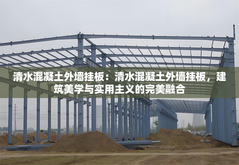 清水混凝土外墻掛板：清水混凝土外墻掛板，建筑美學(xué)與實(shí)用主義的完美融合 行業(yè)新聞