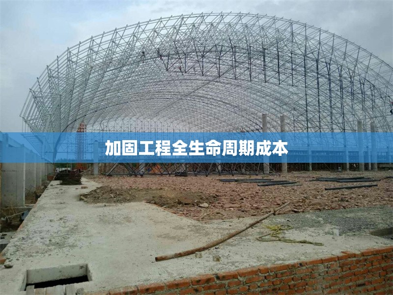 加固工程全生命周期成本 行業(yè)新聞 第1張