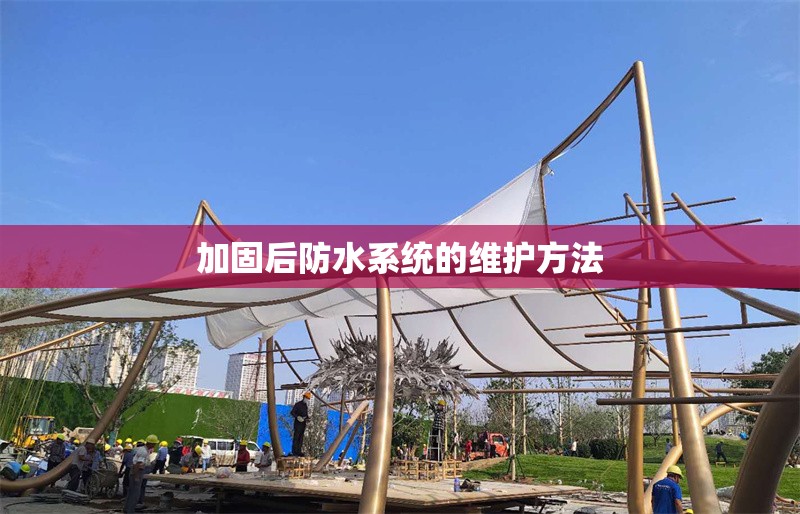 加固后防水系統(tǒng)的維護(hù)方法 行業(yè)新聞 第1張 加固后防水系統(tǒng)的維護(hù)方法 行業(yè)新聞 第1張