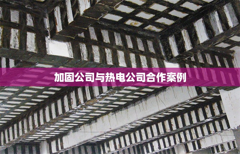 加固公司與熱電公司合作案例 行業(yè)新聞 第1張