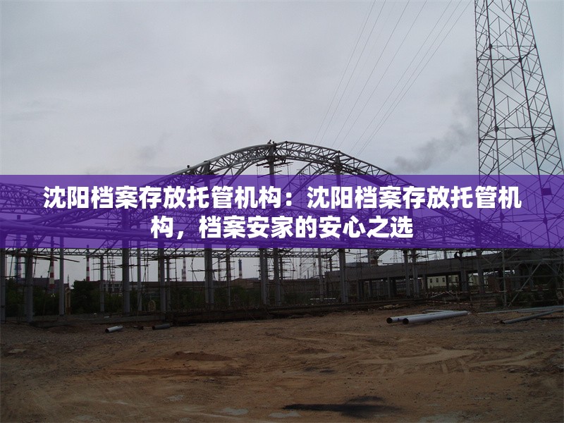沈陽檔案存放托管機構：沈陽檔案存放托管機構，檔案安家的安心之選 行業(yè)新聞