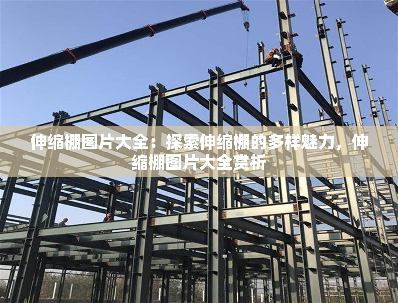 伸縮棚圖片大全：探索伸縮棚的多樣魅力，伸縮棚圖片大全賞析 行業(yè)新聞