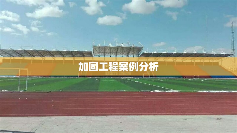 加固工程案例分析 行業(yè)新聞 第1張