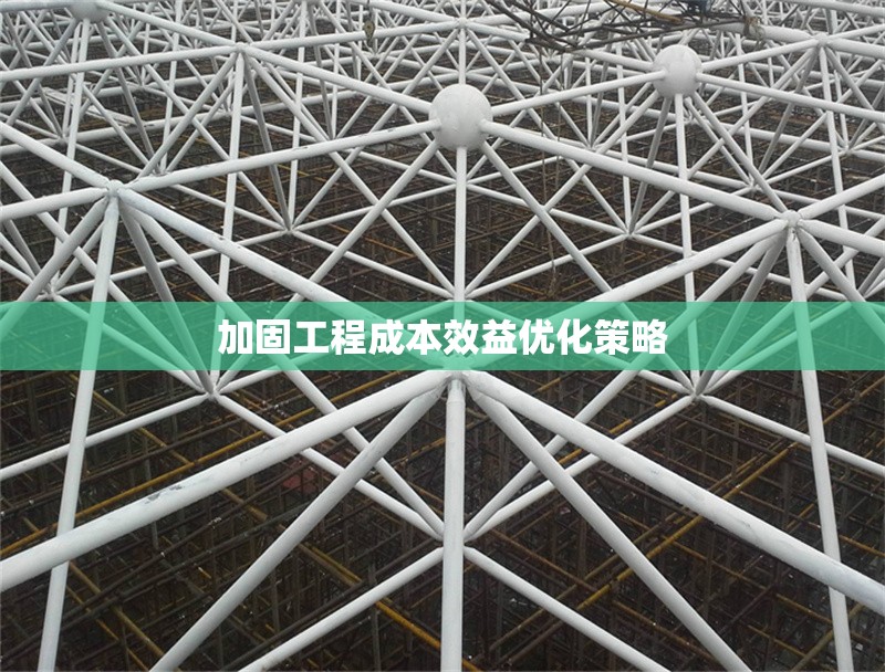 加固工程成本效益優(yōu)化策略 行業(yè)新聞 第1張 加固工程成本效益優(yōu)化策略 行業(yè)新聞 第1張