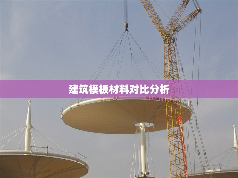 建筑模板材料對比分析 行業(yè)新聞 第1張