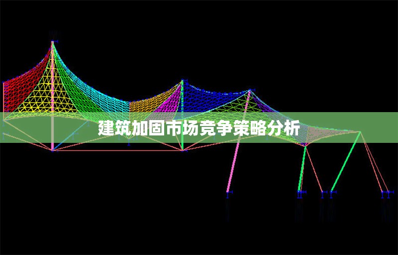 建筑加固市場(chǎng)競(jìng)爭(zhēng)策略分析 行業(yè)新聞 第1張