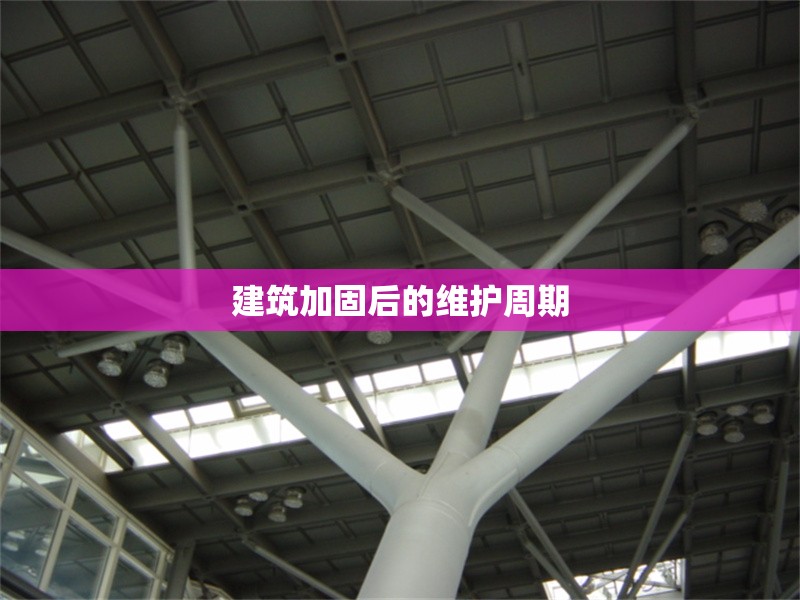 建筑加固后的維護(hù)周期 行業(yè)新聞 第1張