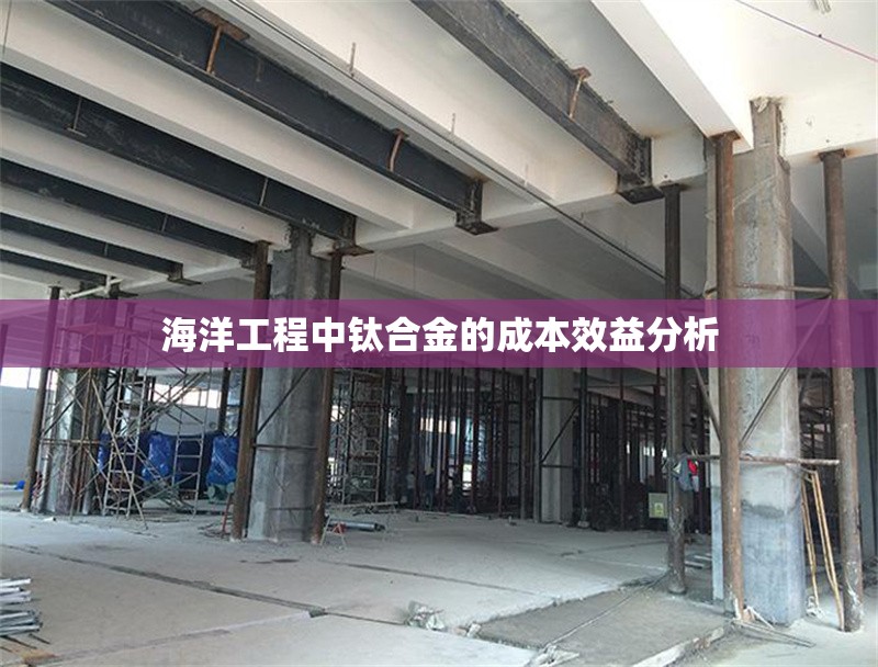 海洋工程中鈦合金的成本效益分析 行業(yè)新聞 第1張