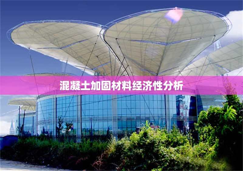 混凝土加固材料經(jīng)濟性分析 行業(yè)新聞 第1張