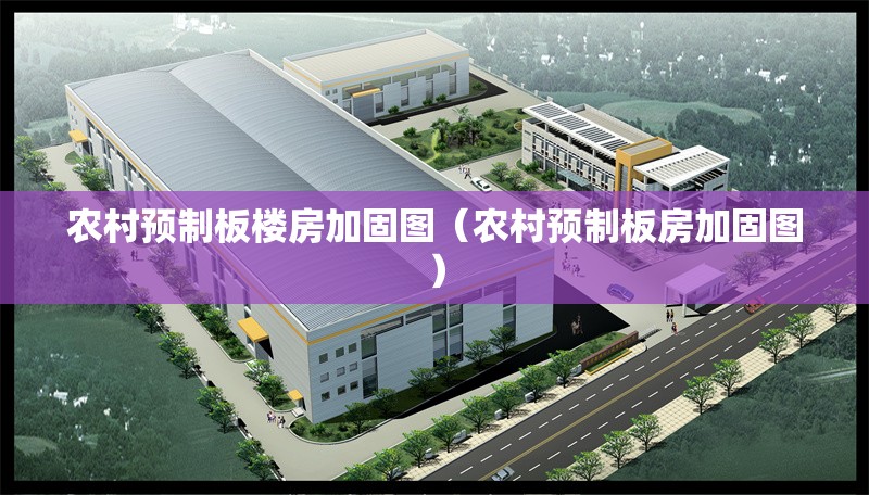 農(nóng)村預(yù)制板樓房加固圖（農(nóng)村預(yù)制板房加固圖）