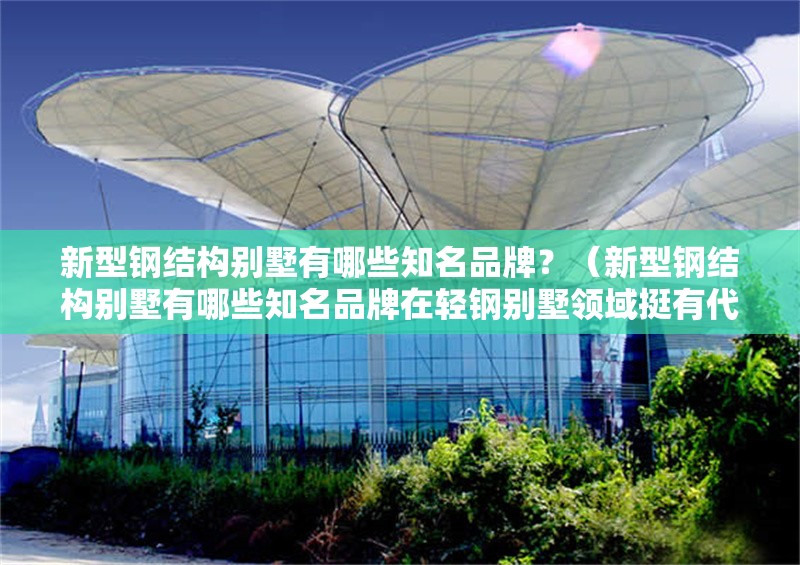 新型鋼結(jié)構(gòu)別墅有哪些知名品牌？（新型鋼結(jié)構(gòu)別墅有哪些知名品牌在輕鋼別墅領(lǐng)域挺有代表性的）
