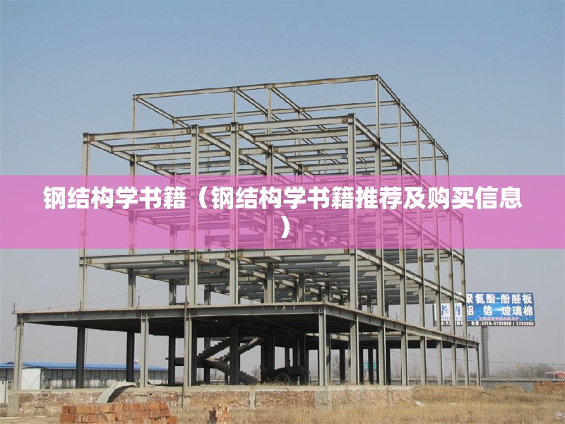 鋼結(jié)構(gòu)學(xué)書籍（鋼結(jié)構(gòu)學(xué)書籍推薦及購(gòu)買信息）