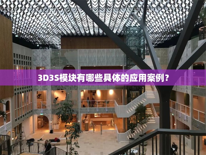 3D3S模塊有哪些具體的應用案例？