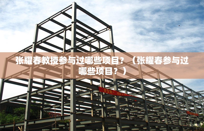 張耀春教授參與過哪些項目？（張耀春參與過哪些項目？）