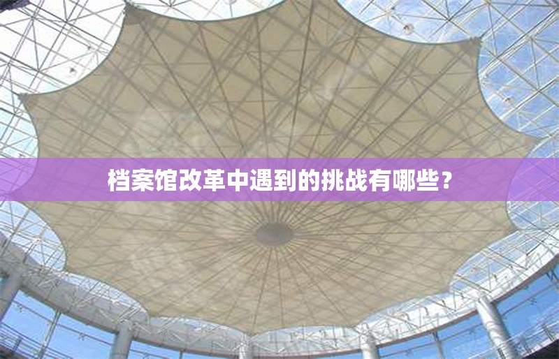 檔案館改革中遇到的挑戰(zhàn)有哪些？