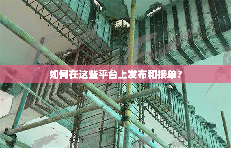 如何在這些平臺(tái)上發(fā)布和接單？