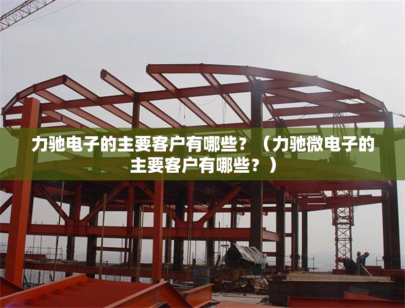 力馳電子的主要客戶有哪些？（力馳微電子的主要客戶有哪些？）