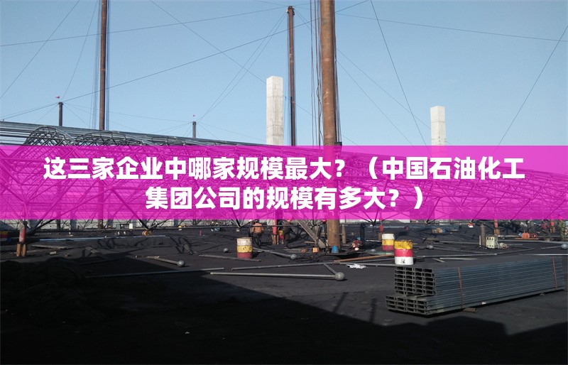 這三家企業(yè)中哪家規(guī)模最大？（中國(guó)石油化工集團(tuán)公司的規(guī)模有多大？）
