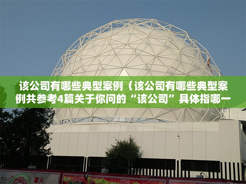 該公司有哪些典型案例(該公司有哪些典型案例共參考4篇關(guān)于你問的“該公司”具體指哪一家)