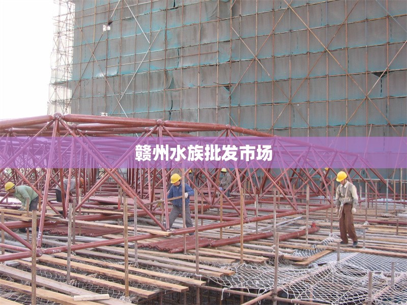 贛州水族批發(fā)市場