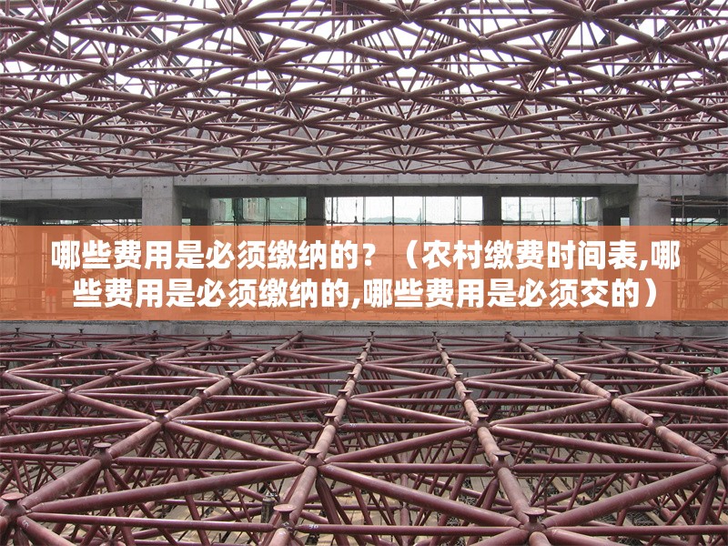 哪些費(fèi)用是必須繳納的？（農(nóng)村繳費(fèi)時(shí)間表,哪些費(fèi)用是必須繳納的,哪些費(fèi)用是必須交的）