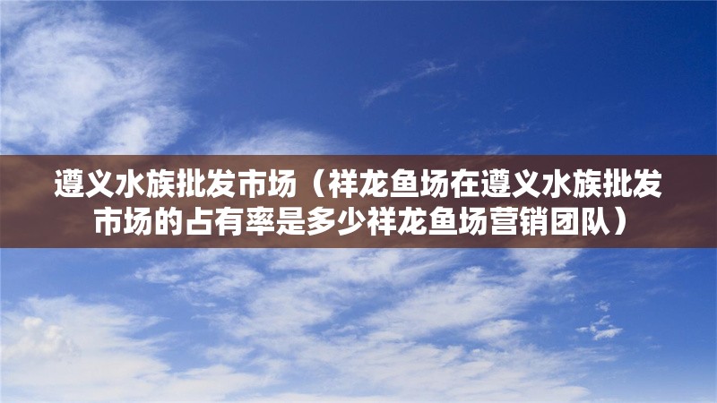 遵義水族批發(fā)市場(祥龍魚場在遵義水族批發(fā)市場的占有率是多少祥龍魚場營銷團隊)