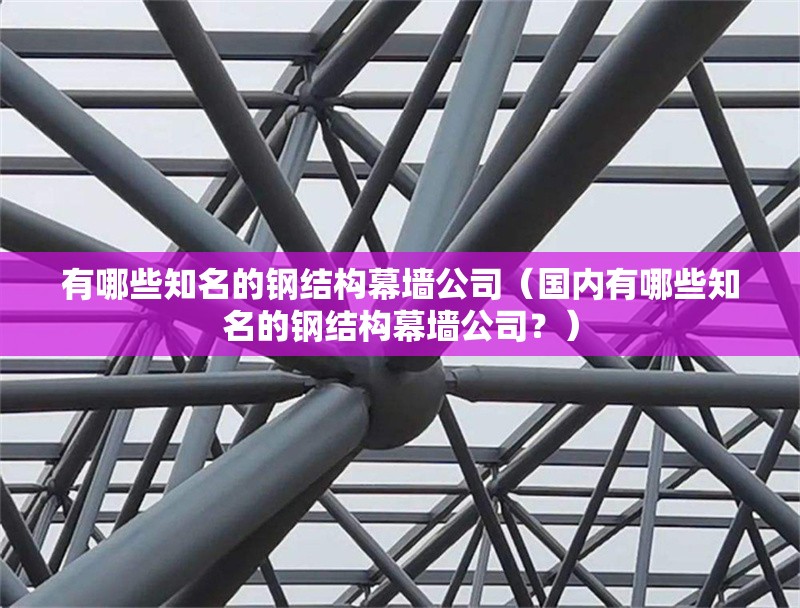 有哪些知名的鋼結構幕墻公司（國內(nèi)有哪些知名的鋼結構幕墻公司？） 行業(yè)新聞