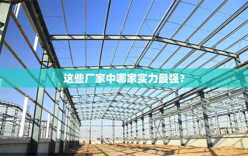 這些廠家中哪家實力最強？