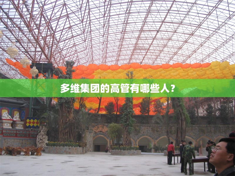 多維集團的高管有哪些人？ 行業(yè)新聞