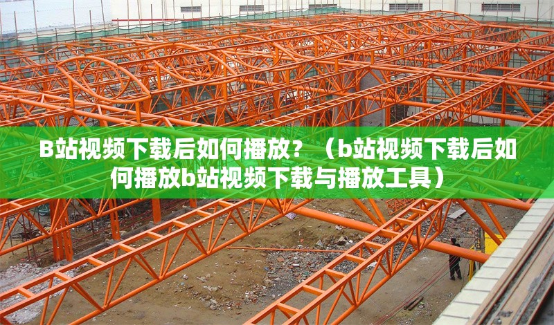 B站視頻下載后如何播放？（b站視頻下載后如何播放b站視頻下載與播放工具） 行業(yè)新聞
