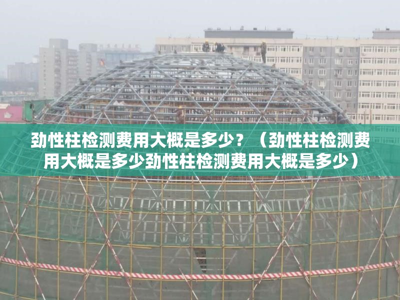 勁性柱檢測費用大概是多少？（勁性柱檢測費用大概是多少勁性柱檢測費用大概是多少） 行業(yè)新聞