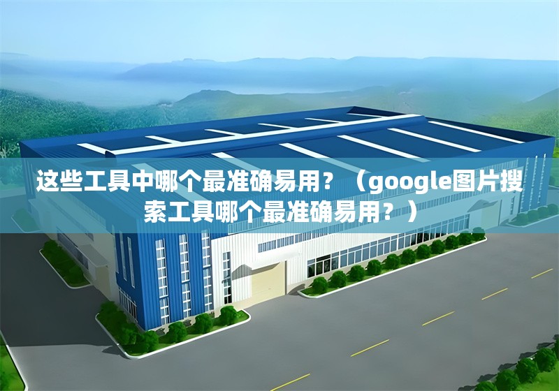 這些工具中哪個最準確易用？（google圖片搜索工具哪個最準確易用？） 行業(yè)新聞