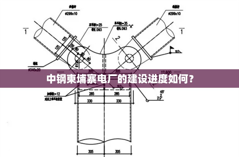 中鋼柬埔寨電廠的建設(shè)進(jìn)度如何？ 行業(yè)新聞