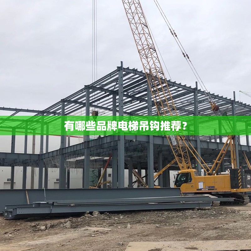 有哪些品牌電梯吊鉤推薦？ 行業(yè)新聞