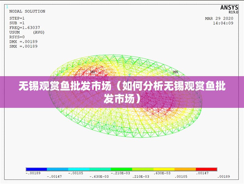 無(wú)錫觀賞魚(yú)批發(fā)市場(chǎng)（如何分析無(wú)錫觀賞魚(yú)批發(fā)市場(chǎng)） 行業(yè)新聞