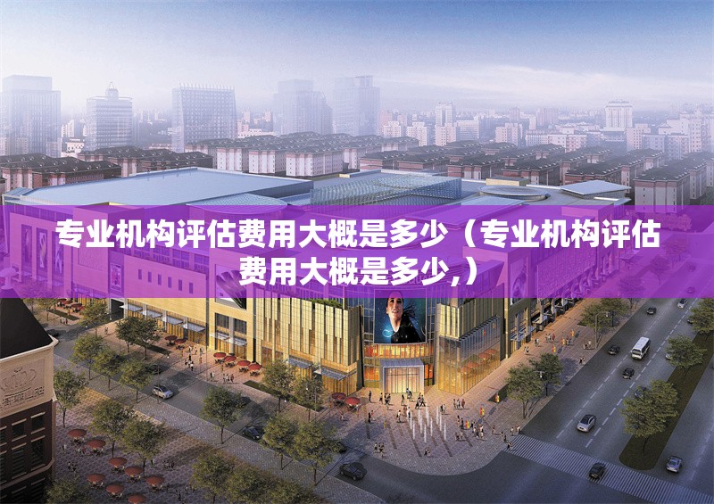 專業(yè)機(jī)構(gòu)評估費(fèi)用大概是多少（專業(yè)機(jī)構(gòu)評估費(fèi)用大概是多少,） 行業(yè)新聞