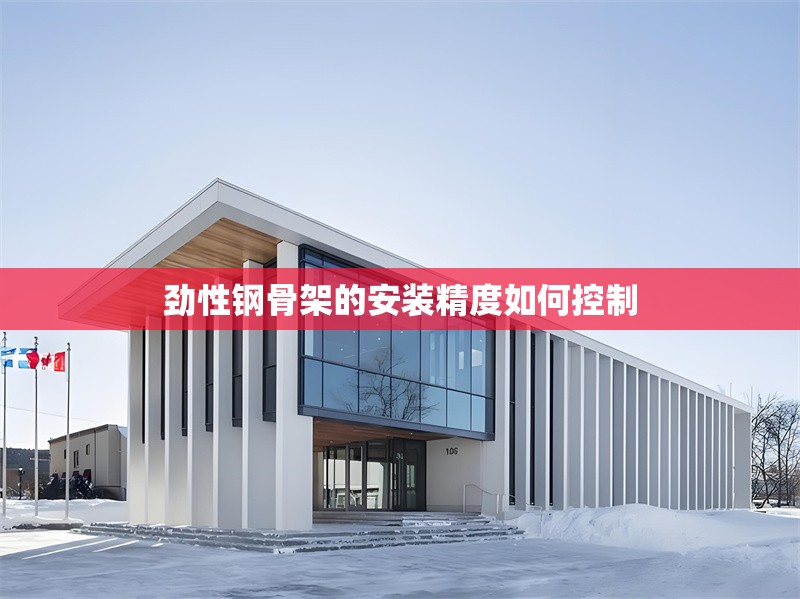 勁性鋼骨架的安裝精度如何控制 行業(yè)新聞