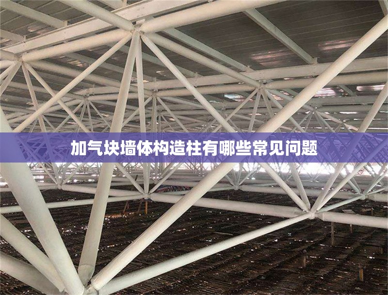 加氣塊墻體構(gòu)造柱有哪些常見(jiàn)問(wèn)題 行業(yè)新聞