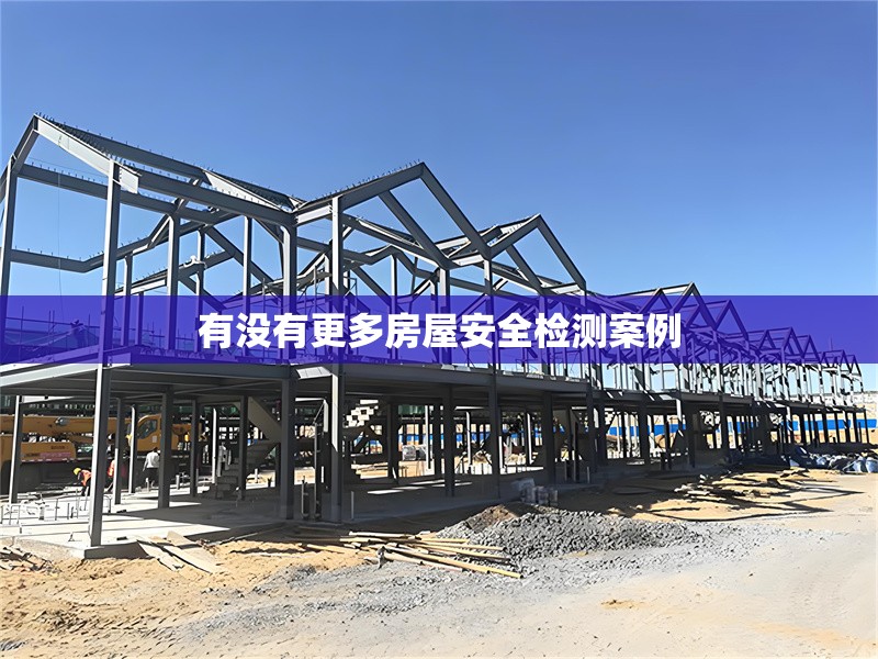 有沒有更多房屋安全檢測(cè)案例 行業(yè)新聞