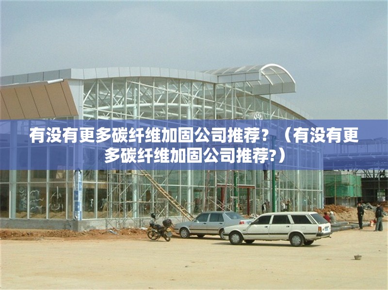 有沒(méi)有更多碳纖維加固公司推薦？（有沒(méi)有更多碳纖維加固公司推薦?） 行業(yè)新聞