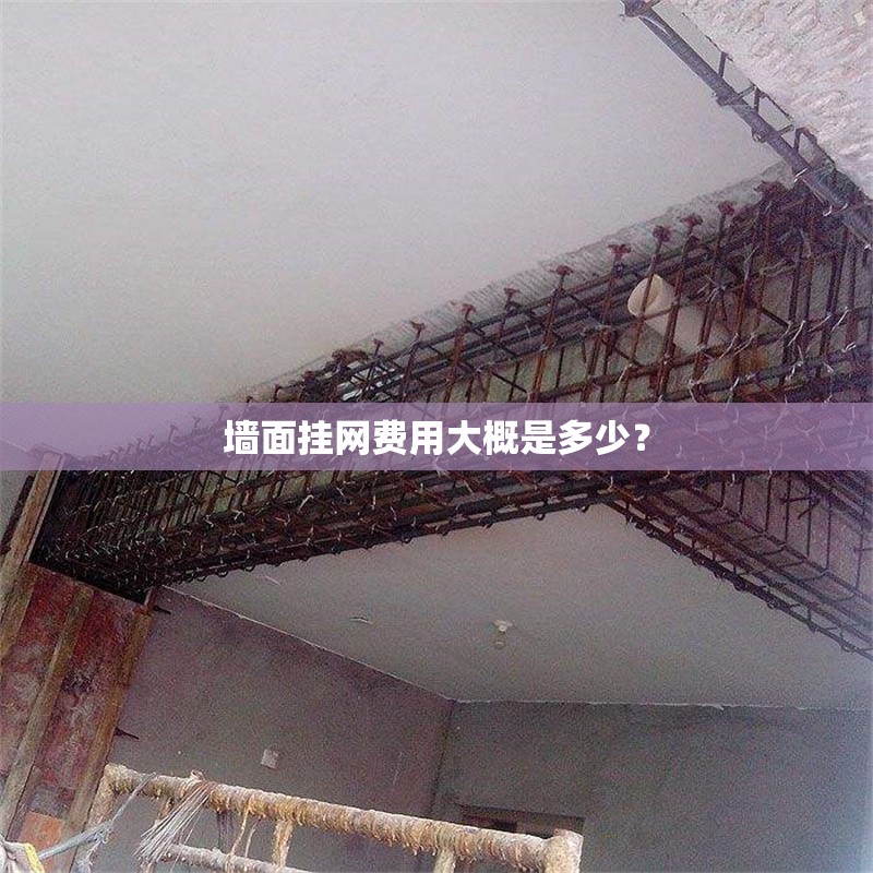 墻面掛網(wǎng)費用大概是多少？ 行業(yè)新聞