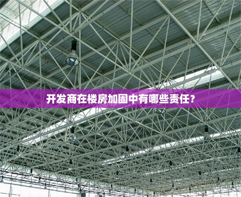 開發(fā)商在樓房加固中有哪些責任？ 行業(yè)新聞