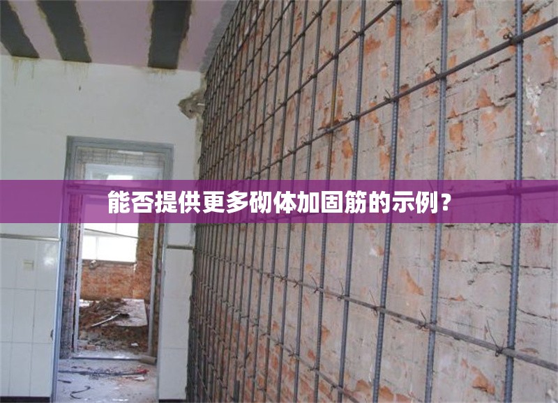 能否提供更多砌體加固筋的示例？ 行業(yè)新聞