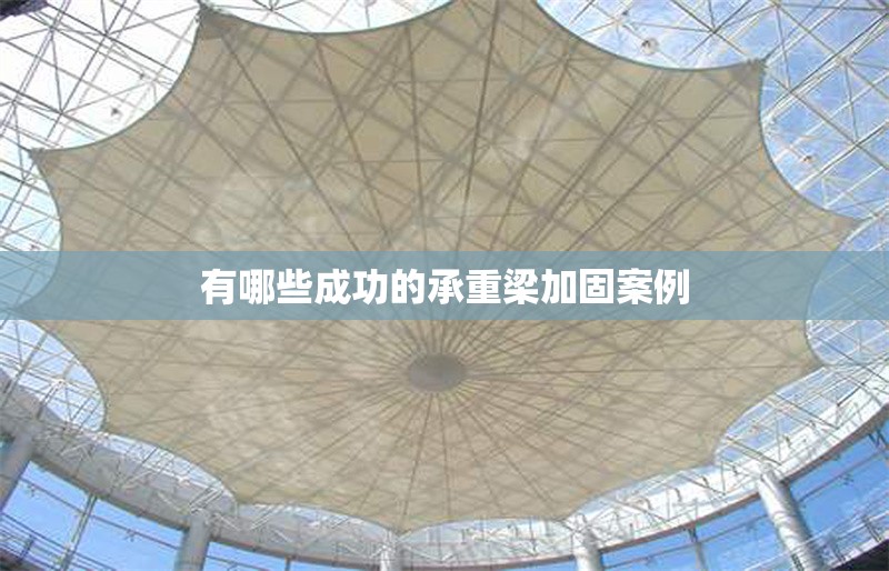 有哪些成功的承重梁加固案例 行業(yè)新聞