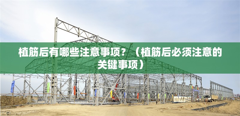 植筋后有哪些注意事項(xiàng)？（植筋后必須注意的關(guān)鍵事項(xiàng)） 行業(yè)新聞